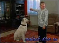 2173[0] (250x180, 11 kБ...)