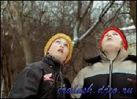 2178[0] (250x180, 14 kБ...)