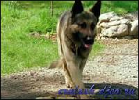 2255[0] (250x180, 15 kБ...)