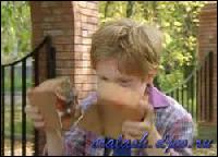 2277[0] (250x180, 14 kБ...)