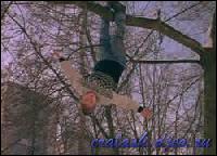 2305[0] (250x180, 16 kБ...)