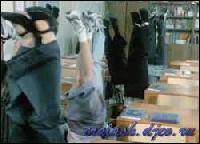 2332[0] (250x180, 13 kБ...)