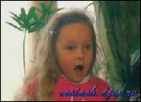 2351[0] (250x180, 10 kБ...)